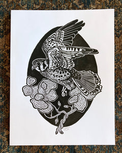 'Kestrel' lino print