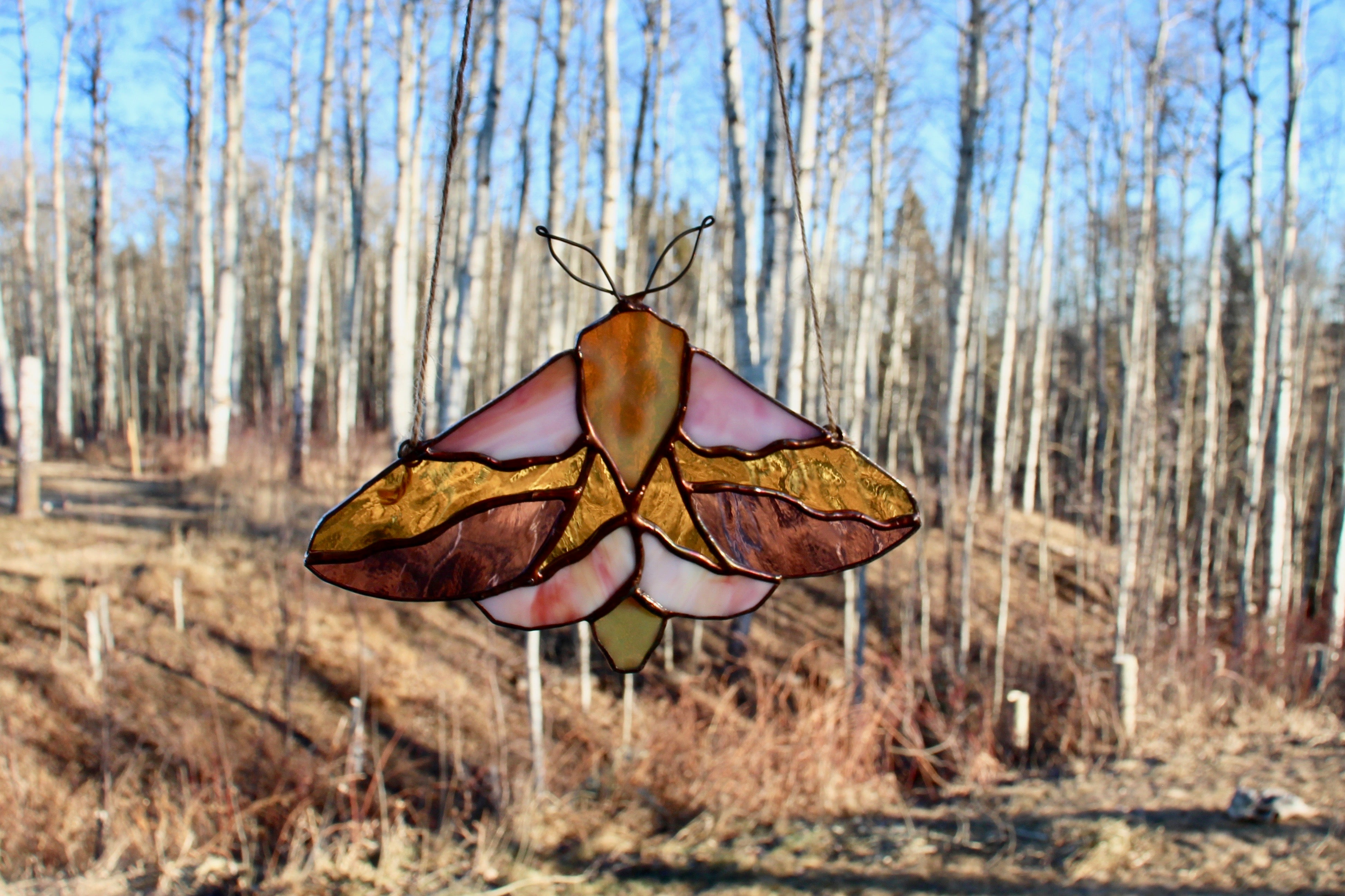 Stained Glass Pattern: Rosy Maple Moth Easy pdf