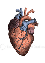 Load image into Gallery viewer, Anatomical Heart Card
