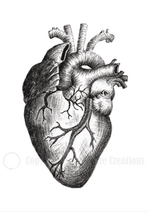 B/W Anatomical Heart Card