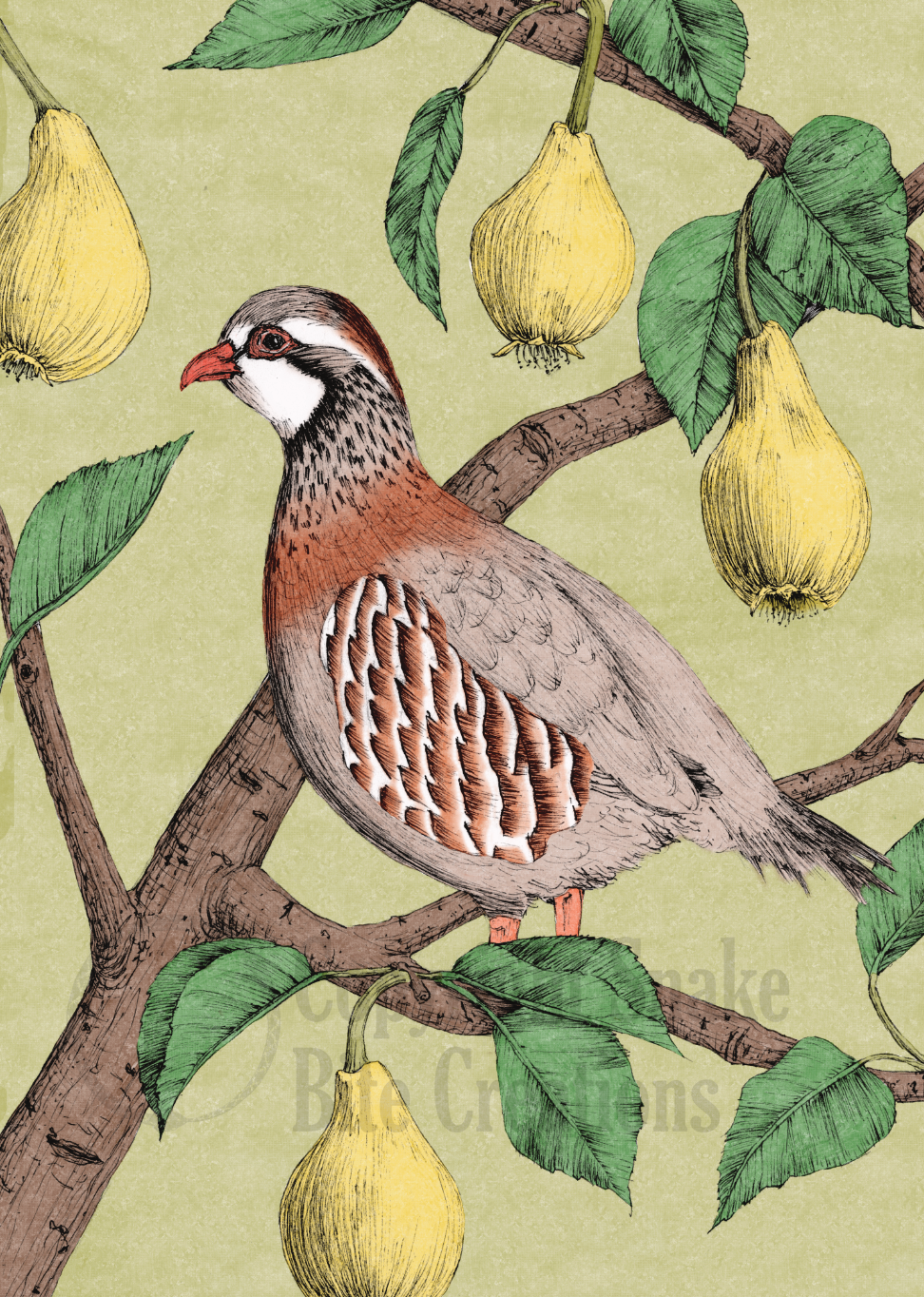 A Partridge in a Pear Tree Card