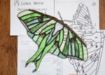 Load image into Gallery viewer, luna moth; green moth with brown accents made in stained glass on printed paper patterns
