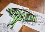 Load image into Gallery viewer, Stained Glass Pattern: Luna Moth pdf
