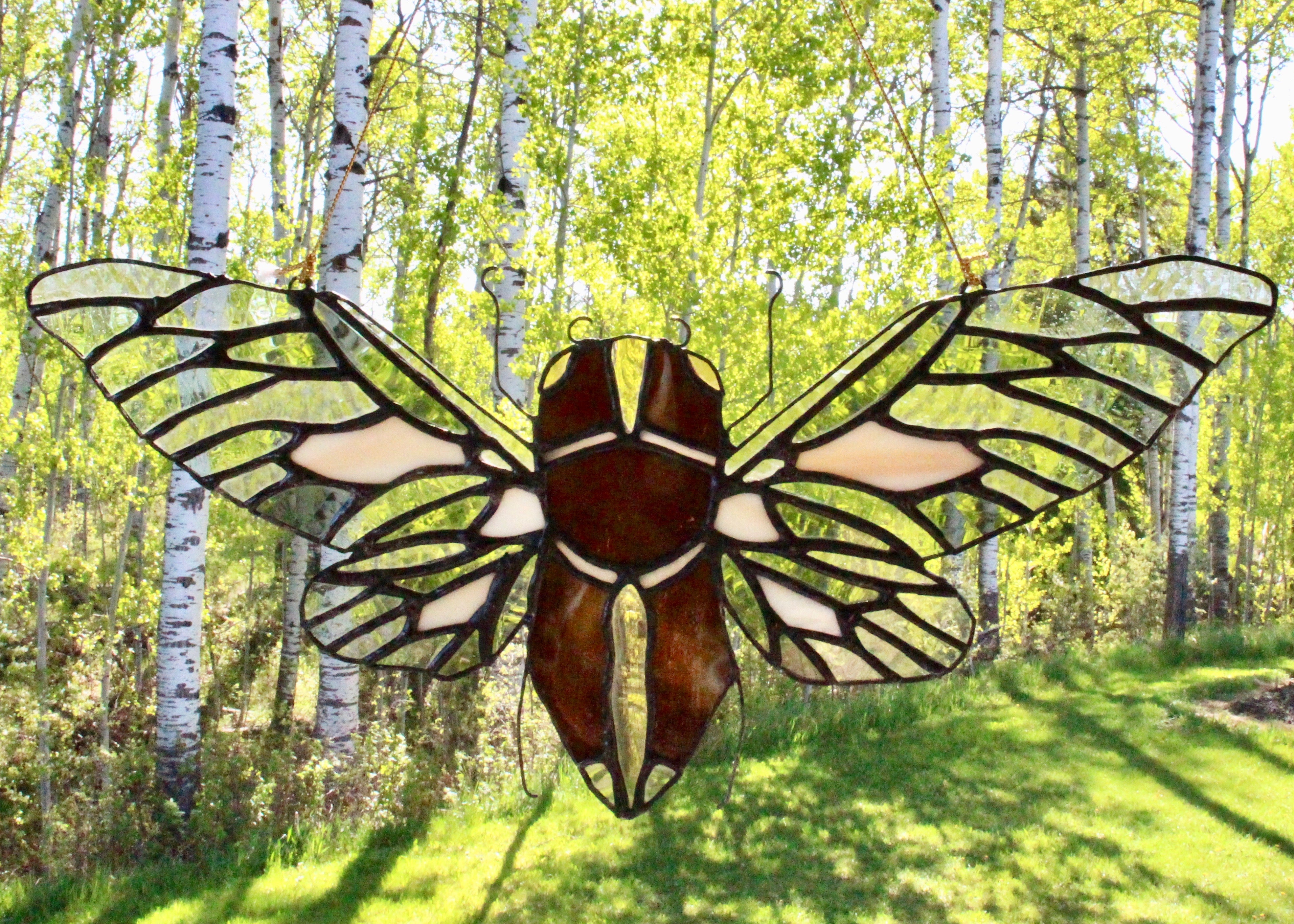 Stained Glass Pattern: Cicada Insect pdf