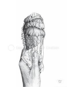 'Triple Scoop of Jellyfish' Art Print