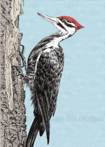 Pileated Woodpecker Card